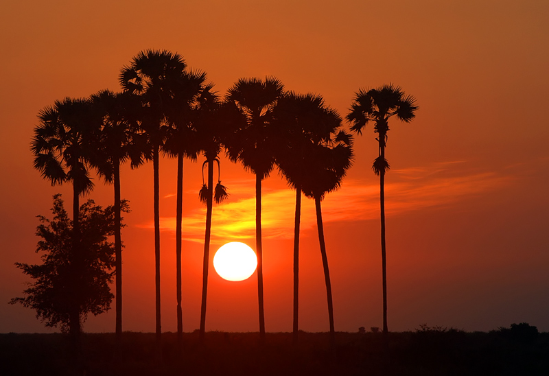 attraction-Siem Reap Weather & Climates Countryside Sunset.jpg